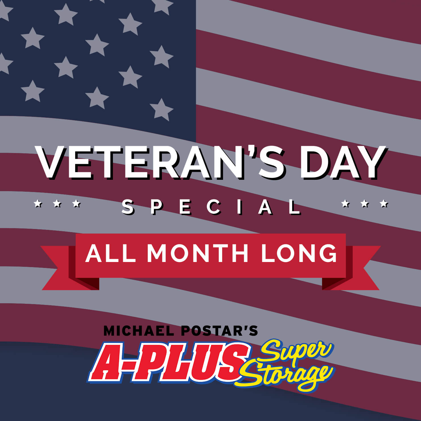 Veteran's Day Special